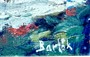 Bedřich Barták: Pohld na Karlův most – fotografie 4 z 5