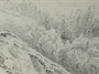 Josef Thoma,  kresba tužkou – fotografie 5 z 5