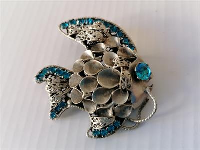 Brož - rybka dravec - pakfong