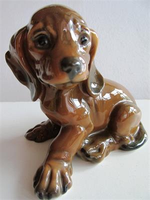 ROSENTHAL, štěně, Jezevčik