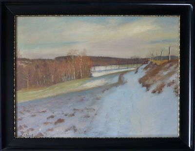 Frant. Adolf Jelínek - Tání