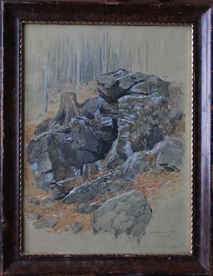 Adolf Zdrazila - Kameny v lese