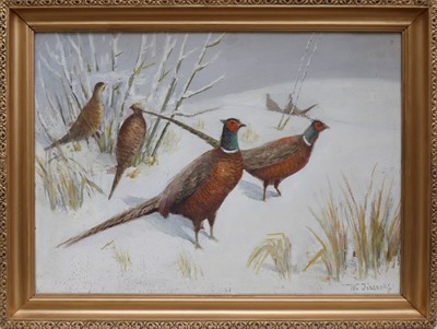 Karel Walter Jizerský - Bažanti a koroptve