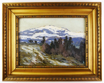 Jaroslav Panuška - Horská krajina