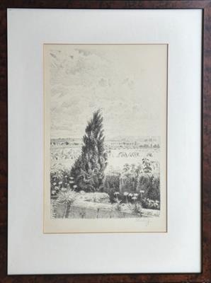 Max Švabinský (1873-1962) - Túje v Chodově