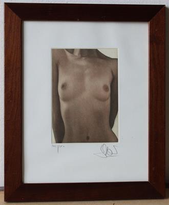 Willi Kissmer - Dívčí akt