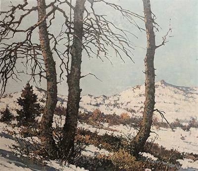 Roman Kos: Prosluněná zimní krajina.