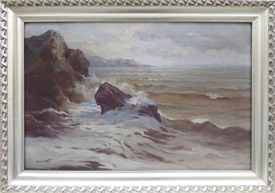 Skula Matěj František - Mořské vlny u skalisek
