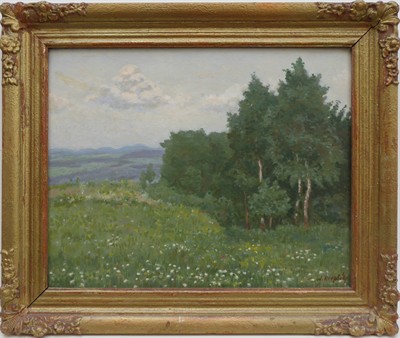 Krepčík Jaroslav - Kvetoucí louka u remízku