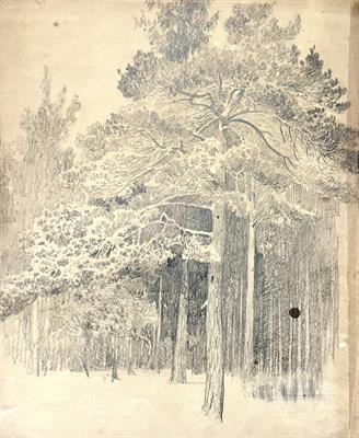 Václav Jansa: Les (kresba)