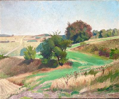 Otakar Synáček: Pozdní léto v polích