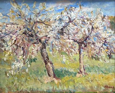 Karel Pavlata: Kvetoucí třešně