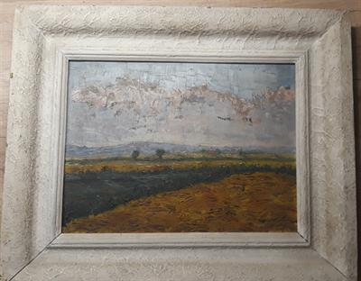 Obraz - krajina- pole -  olej