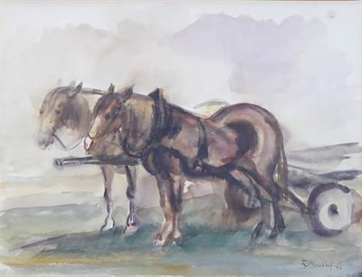 František Bílkovský - Koňský povoz