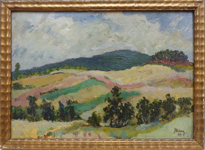 Mára Jaromír - Zvlněná krajina