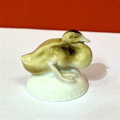 Míšeň, malá kachnička