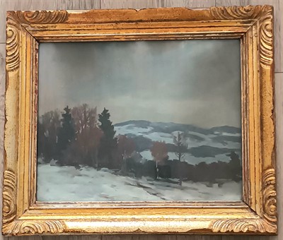 Gustav Macoun: Zimní krajina. Ověřeno!