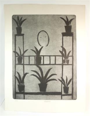 Vladimír Komárek, Kytky na policích