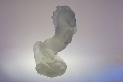 Mario PETRUCII "Kůň ve skoku" firma Schlevogt - INGRID