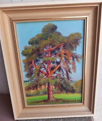 Borovice, Karel Kuneš rok 1990