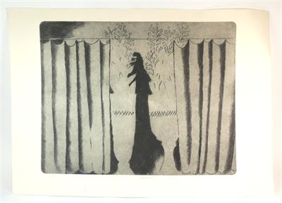 Vladimír Komárek, Za oponou