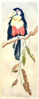 Fritz Neumann: Papoušek