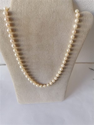 Značková perlový náhrdelník - LANG