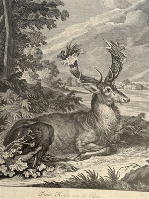 Jelen 66-terák střelený králem, Ridinger