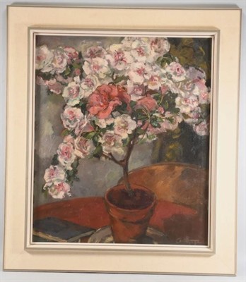 TOP rarita starý obraz Jan Autengruber (1887- 1920)