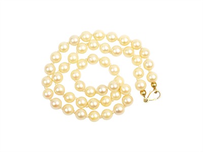 Perlový náhrdelník se zlatým uzávěrem