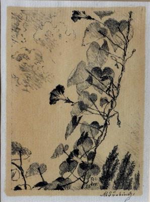 Švabinský Max: Svlačec.