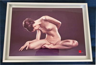 Alfred WEISSENEGGER, Fotografie , kompozice 1