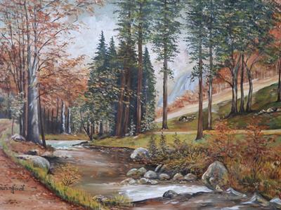 Kuřim Sl. - Lesní bystřina.