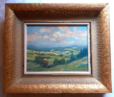 Jarní krajina v širokém zlatém rámu, Jaromír Braun