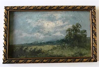 Podvečerní krajina