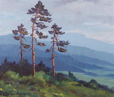 Šašková - Tři borovice na stráni