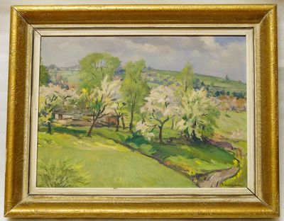 Rozkvetlá stráň - Čestmír SUCHARDA, olej na kartonu 1950