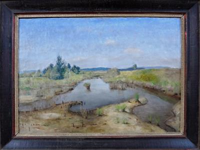 Antonín Balcar - Mokřina