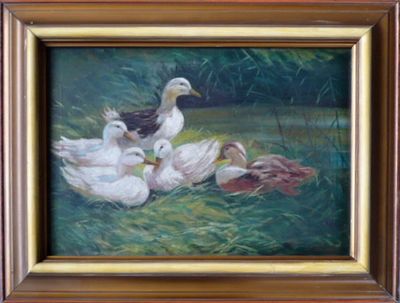 Josef Pavelka - Kachny