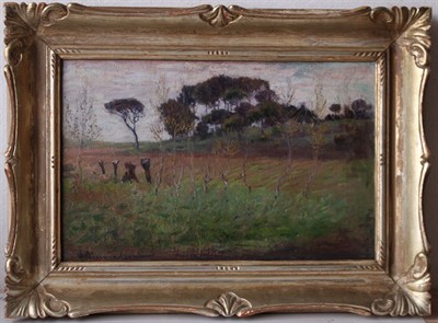 Eduard Ameseder - Letní krajina