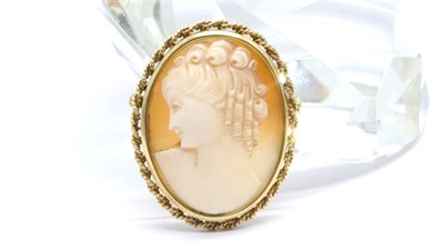 Zlatá brož - kamej