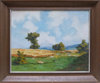 Josef Pošva - Krajina s polem a loukami