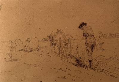 Linka Procházková - Scheithauerová