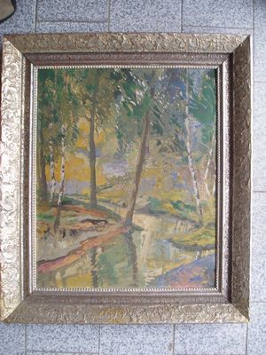 Šebor - Lesní potok.