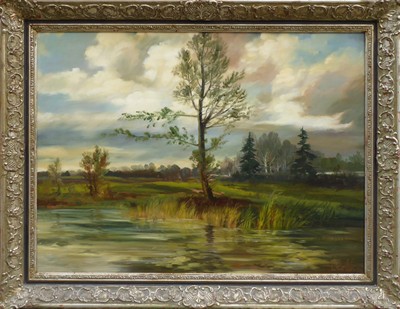 Viktor Rolín - Osamělý strom u vody