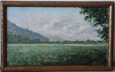 Pohled do krajiny - sign - Olej