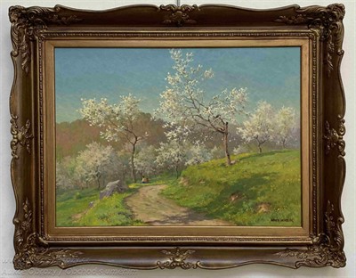 František Daněk - Sedláček, Jarní krajina