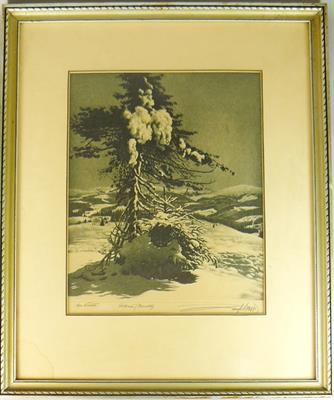 Josef Vaic, Krkonoše, Benecko