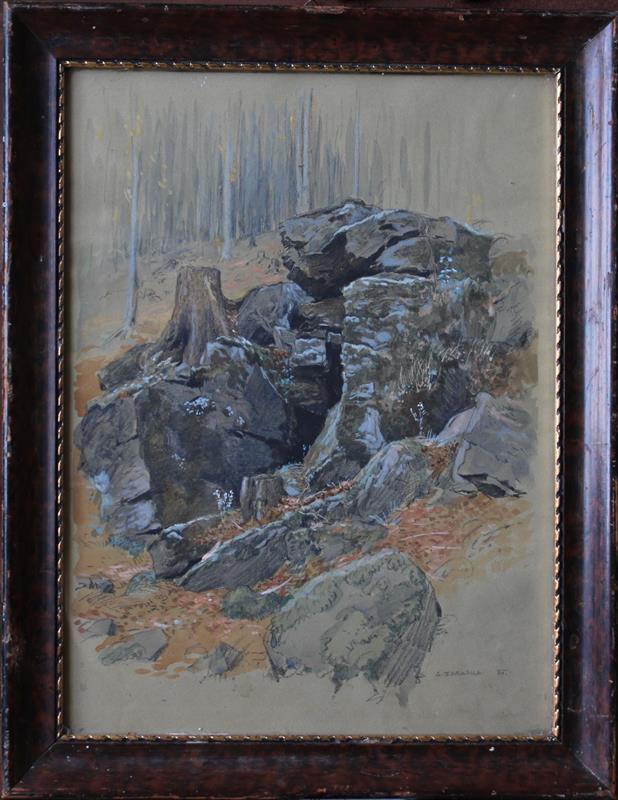 Adolf Zdrazila - Kameny v lese