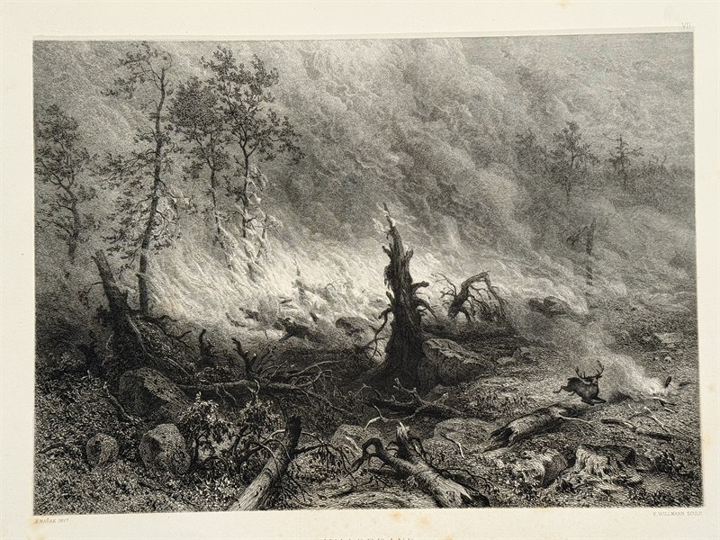 Julius Mařák, slavný soubor 12 ocelorytin